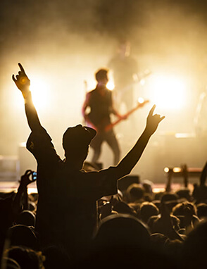 Audience enjoying a concert